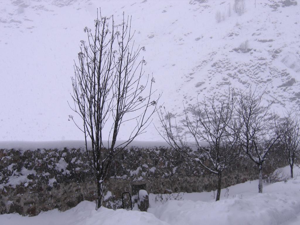 Red Stone Guest House Kazbegi Eksteriør billede