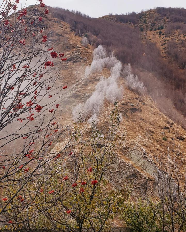Red Stone Guest House Kazbegi Eksteriør billede